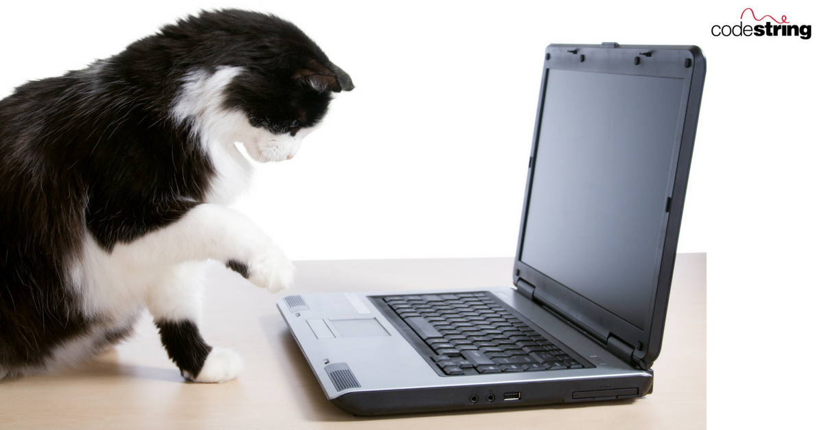 Top time-wasters and how to bust them!