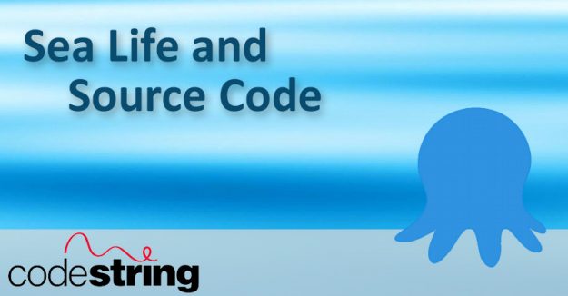 Sea Life and Source Code